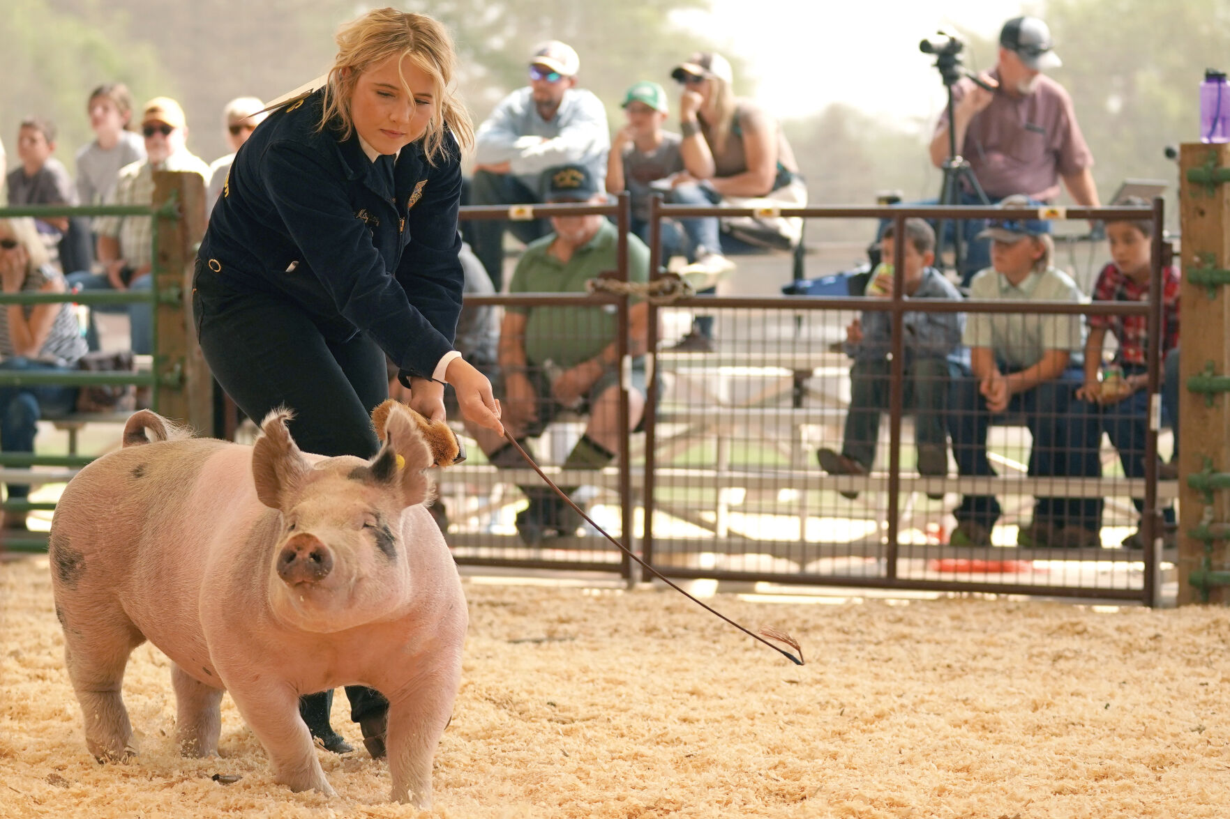 Swine Show Standalones 004.jpg